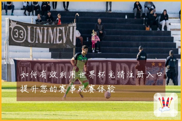 如何有效利用世界杯竞猜注册入口提升您的赛事观赛体验