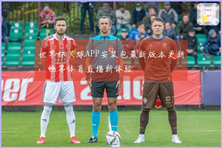 世界杯买球APP安装包最新版本更新，畅享体育直播新体验