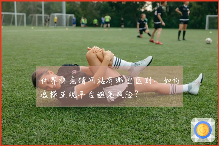 世界杯竞猜网站有哪些区别,如何选择正规平台避免风险?