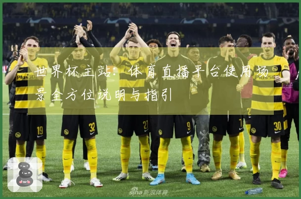 世界杯主站：体育直播平台使用场景全方位说明与指引