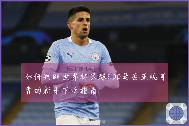 如何判断世界杯买球app是否正规可靠的新手下注指南