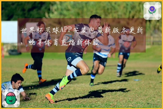 世界杯买球APP安装包最新版本更新,畅享体育直播新体验