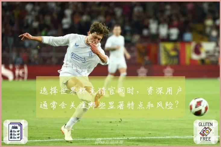 选择世界杯竞猜官网时,资深用户通常会关注哪些显著特点和风险?