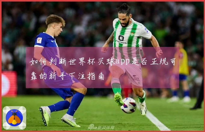 如何判断世界杯买球app是否正规可靠的新手下注指南