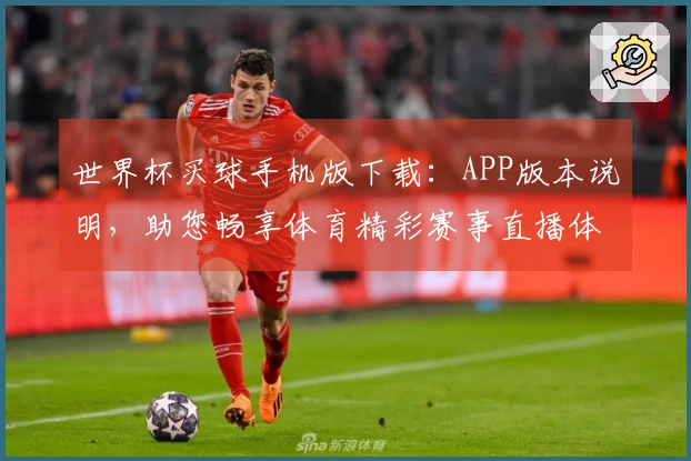 世界杯买球手机版下载:APP版本说明,助您畅享体育精彩赛事直播体验