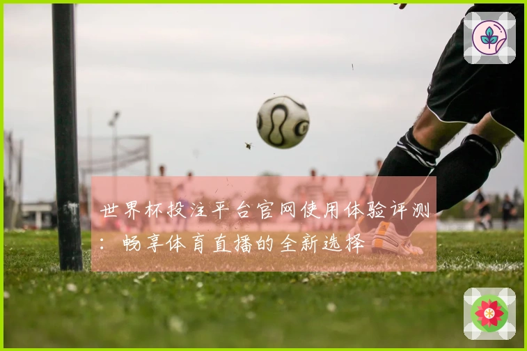 世界杯投注平台官网使用体验评测：畅享体育直播的全新选择