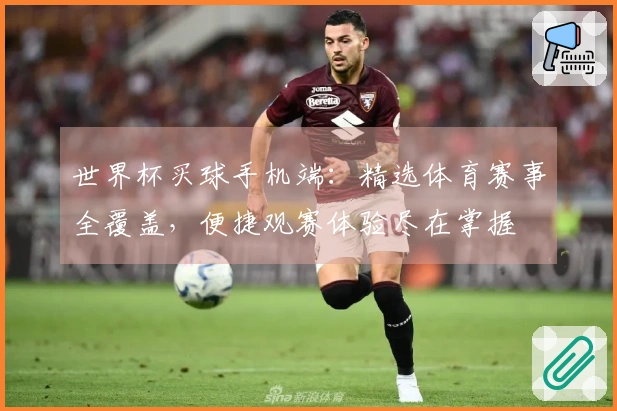 世界杯买球手机端:精选体育赛事全覆盖,便捷观赛体验尽在掌握