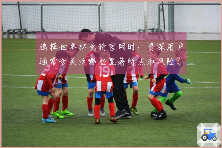 选择世界杯竞猜官网时，资深用户通常会关注哪些显著特点和风险？