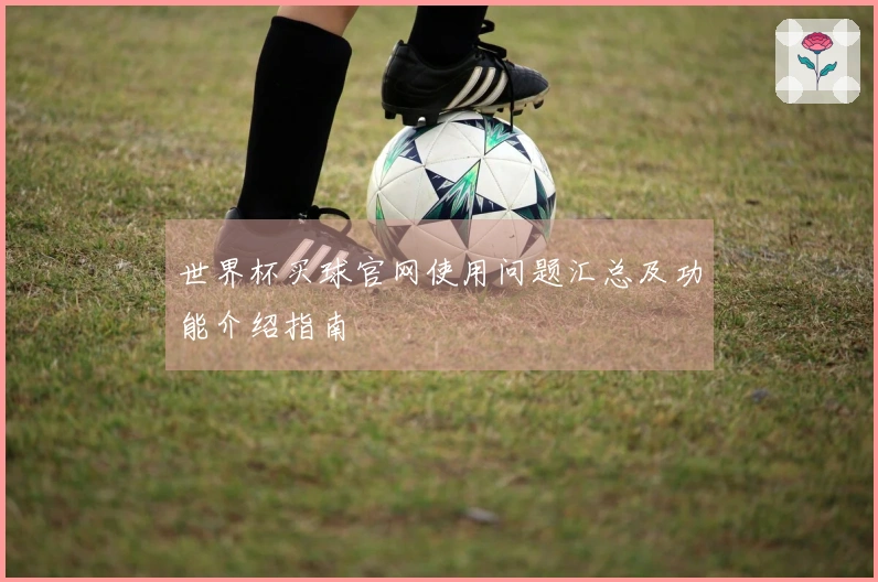 世界杯买球官网使用问题汇总及功能介绍指南